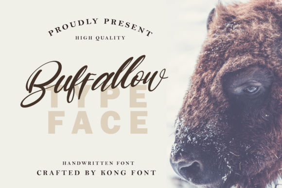 Buffallow Font: Modern Script for Digital Design
