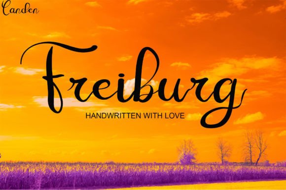 Freiburg Font Review: A Handwritten Script for Editorial Design