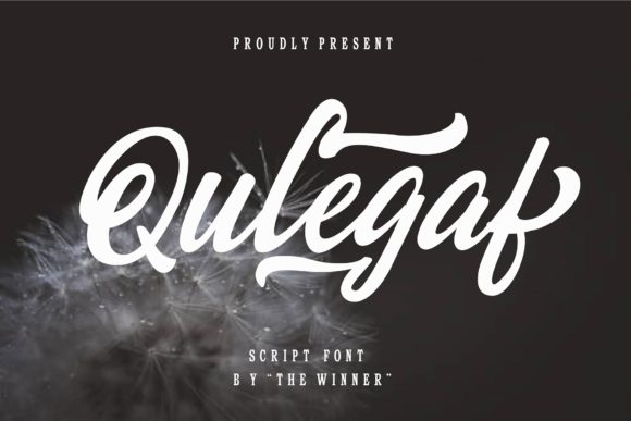 Qulegaf: The Paint Brushed Script Font for Polished Brand Identity