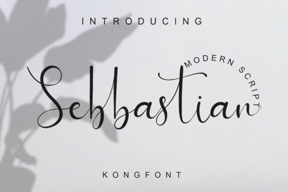 Sebbastian Font: A Polished Script for Creative Branding